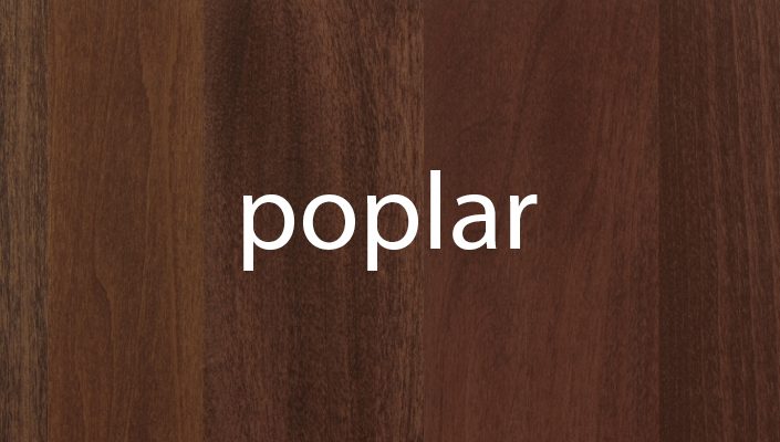 Poplar Stain Samples