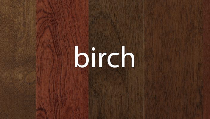 Birch Stain Samples